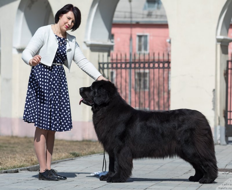 Фотография № 242443