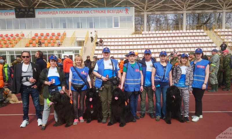 Фотография № 242457