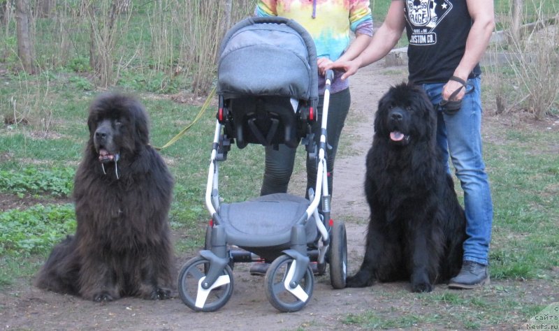 Фотография № 242493