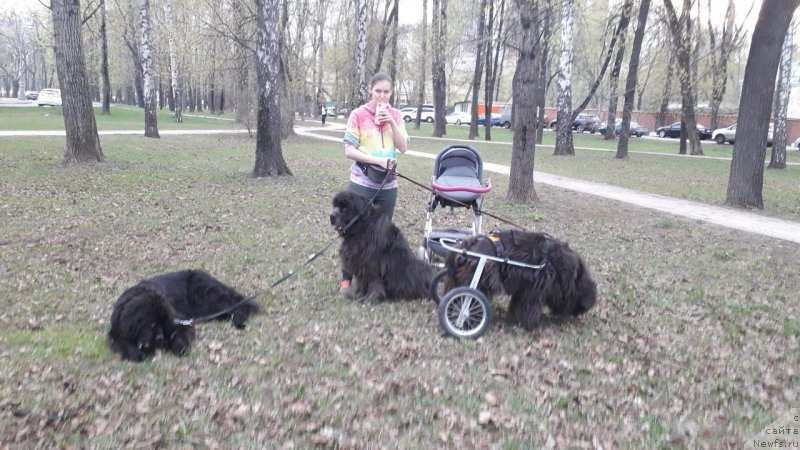 Фотография № 242494