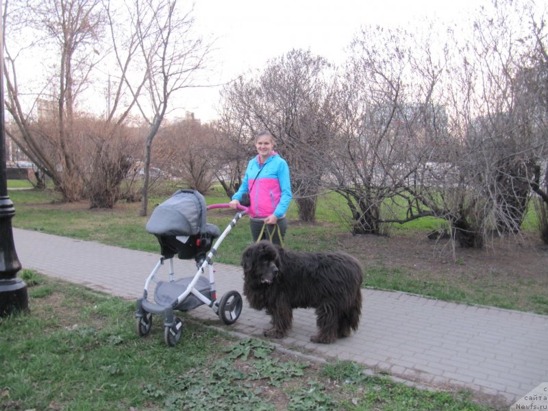 Фотография № 242495