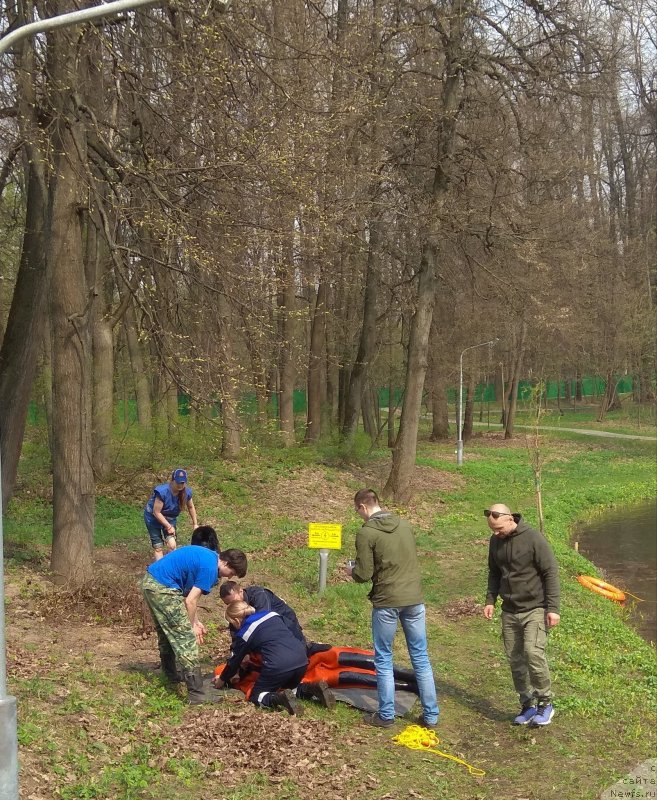 Фотография № 242514