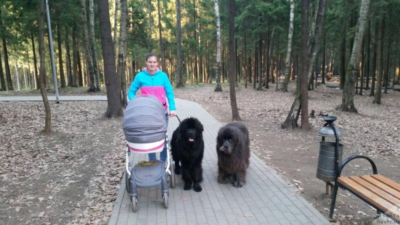 Фотография № 242540