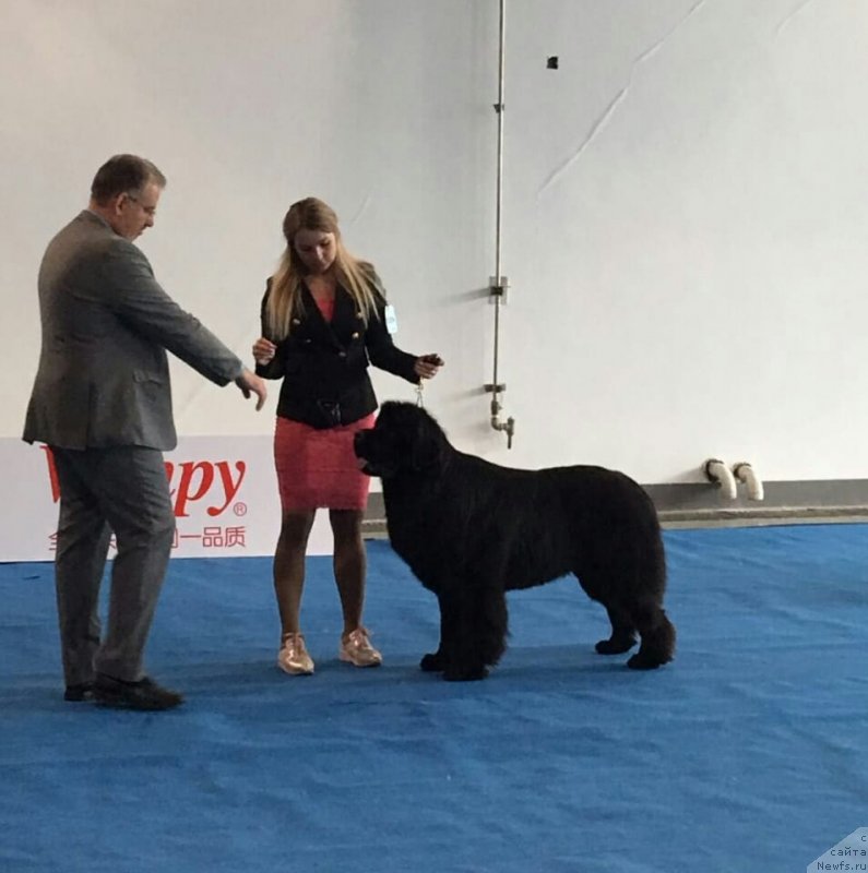 Фотография № 242541