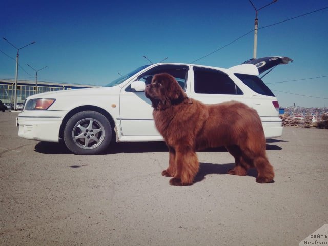 Фотография № 242566