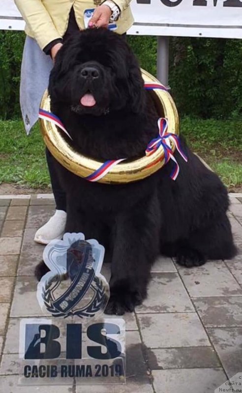 Фотография № 242585