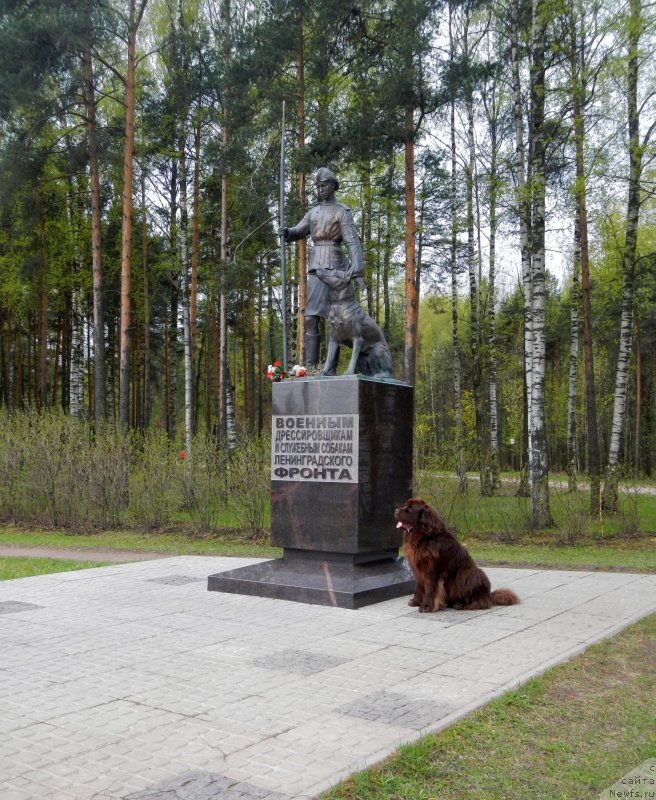 Фотография № 242596