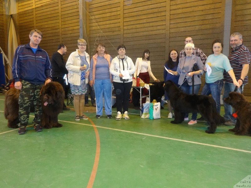 Фотография № 242644