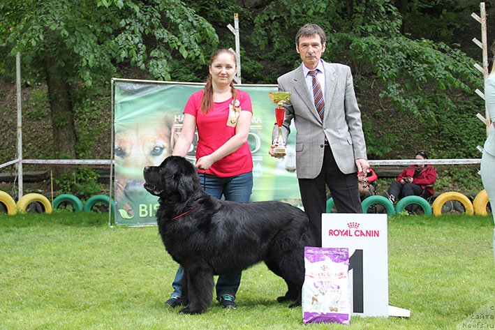 Фотография № 242665