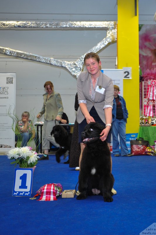 Фотография № 242667