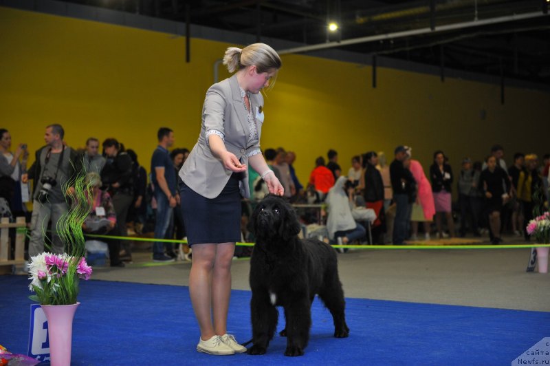 Фотография № 242668