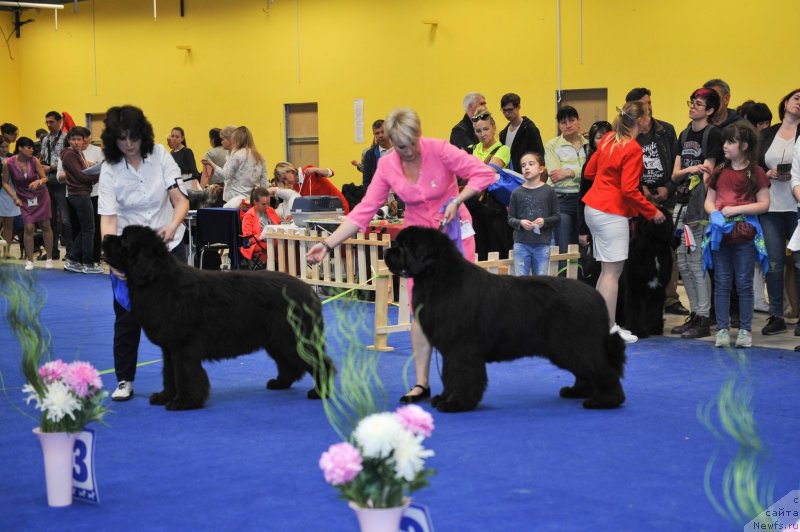 Фотография № 242672