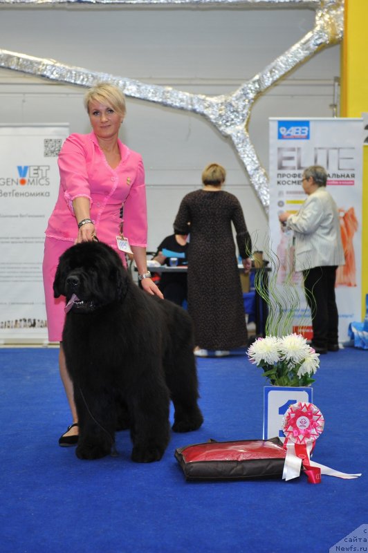 Фотография № 242674