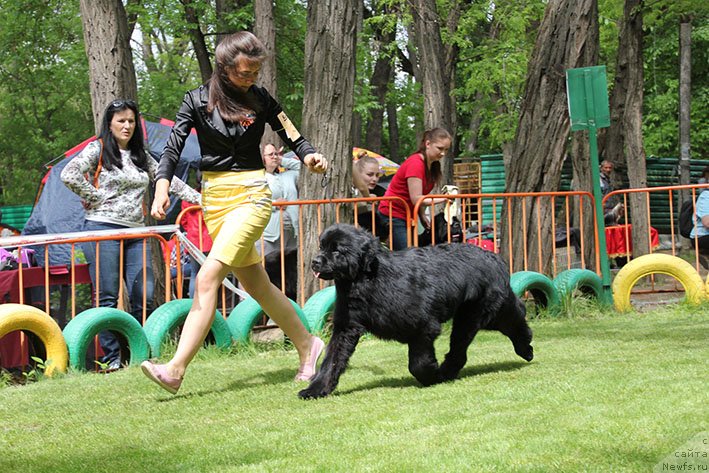 Фотография № 242693