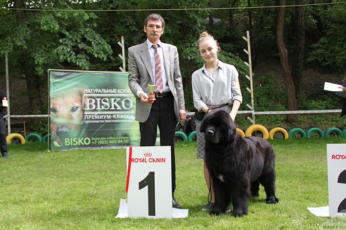 Фотография № 242694