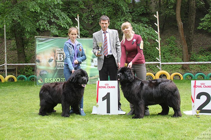 Фотография № 242695