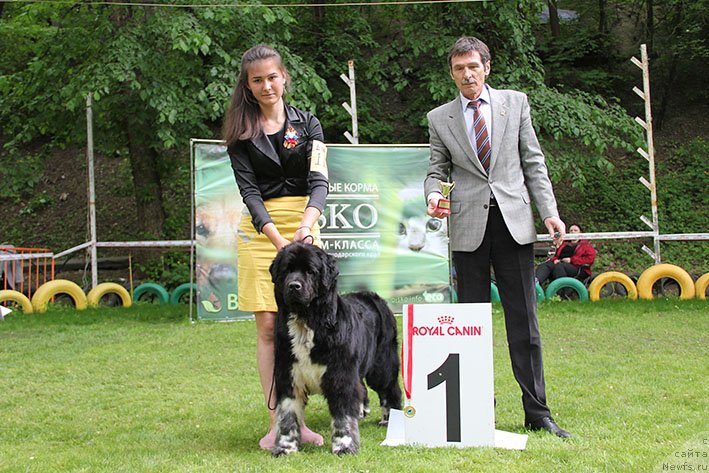 Фотография № 242697