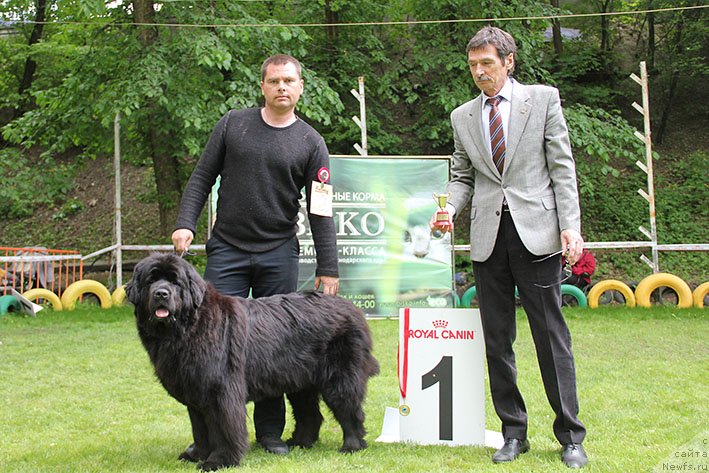 Фотография № 242698