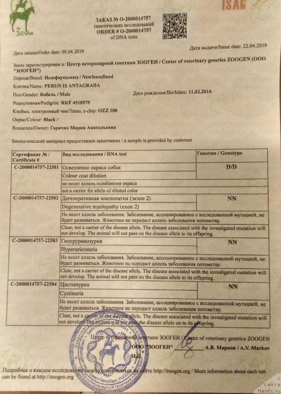 Фото: Mar'ya Goryachih (Марья Горячих)