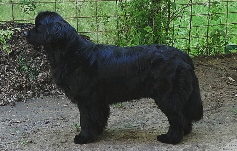 Фотография № 242730