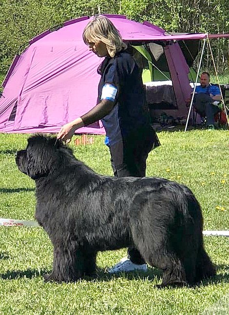 Фотография № 242744