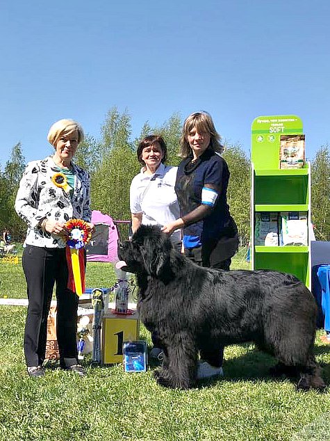 Фотография № 242745