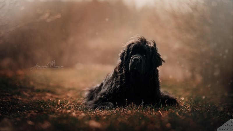 Фотография № 242806