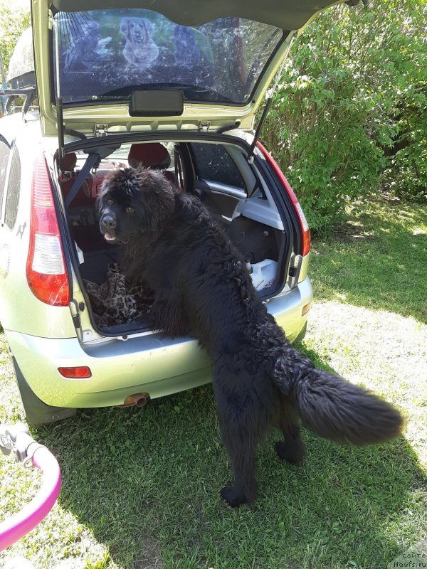 Фотография № 242823