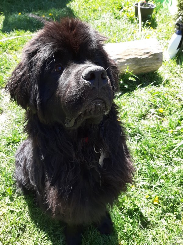 Фотография № 242824