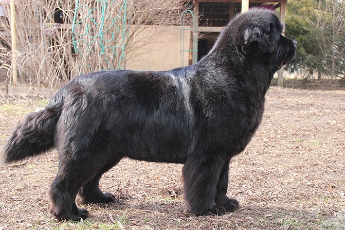 Фотография № 242828