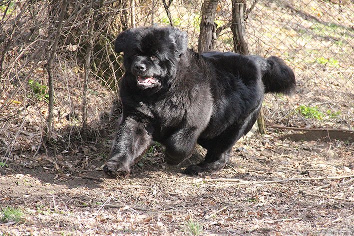 Фотография № 242832