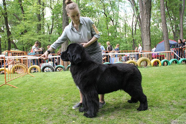 Фотография № 242841