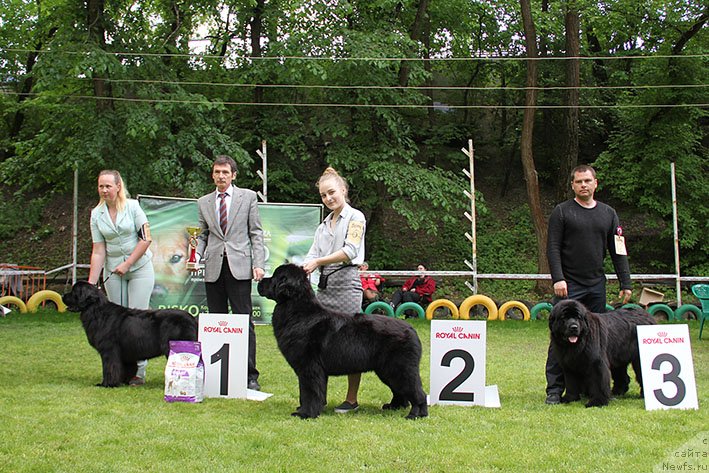 Фотография № 242842