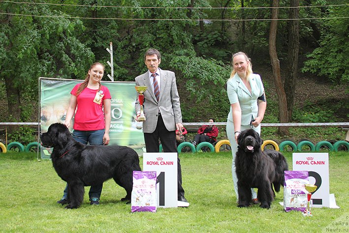 Фотография № 242843