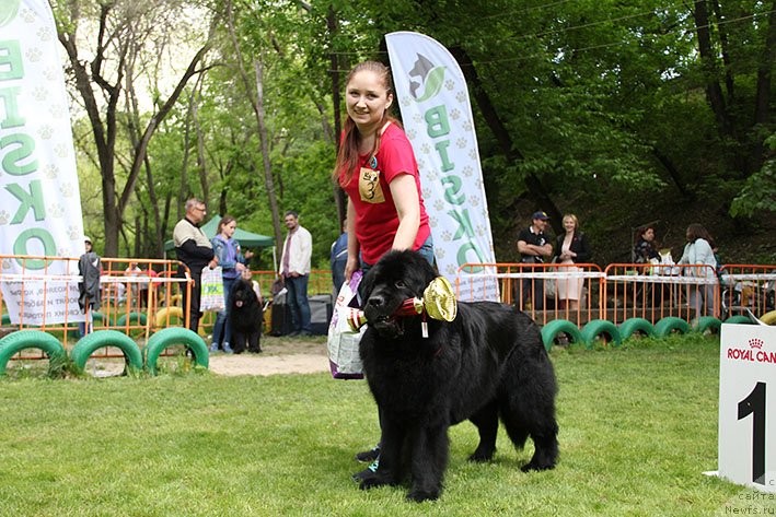 Фотография № 242844