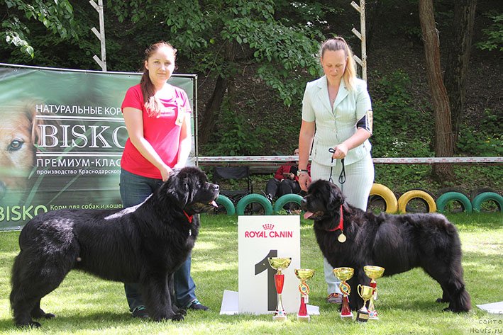 Фотография № 242845