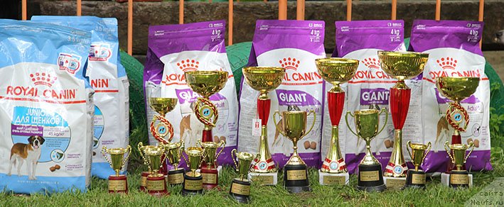 Фотография № 242846