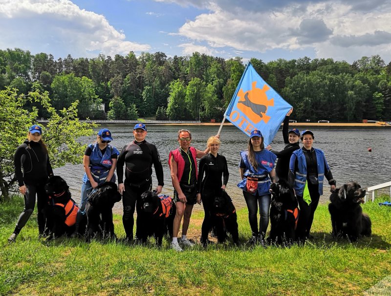 Фотография № 242847