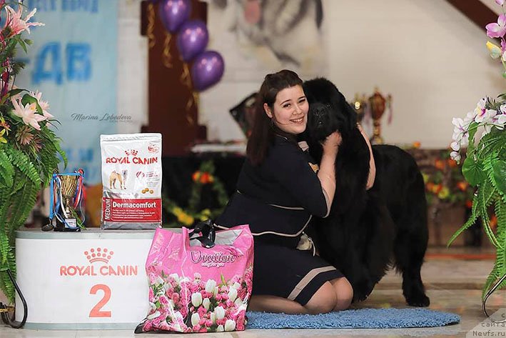 Фотография № 242887