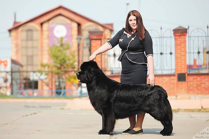 Фотография № 242888