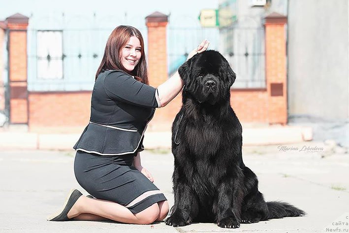 Фотография № 242889