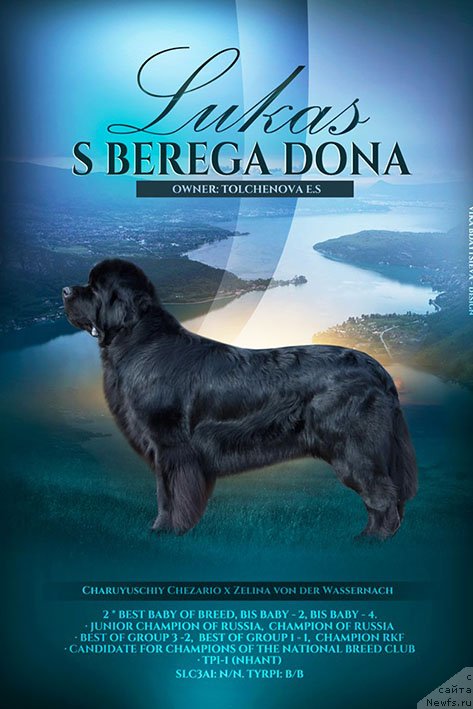 Фотография № 242890