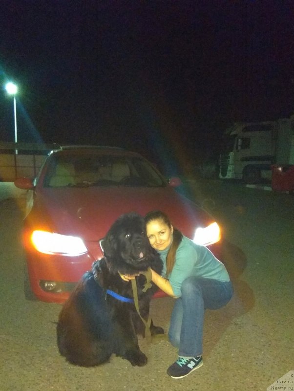 Фотография № 242936