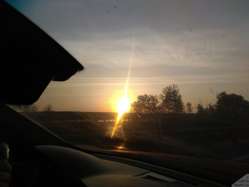 Фотография № 242937