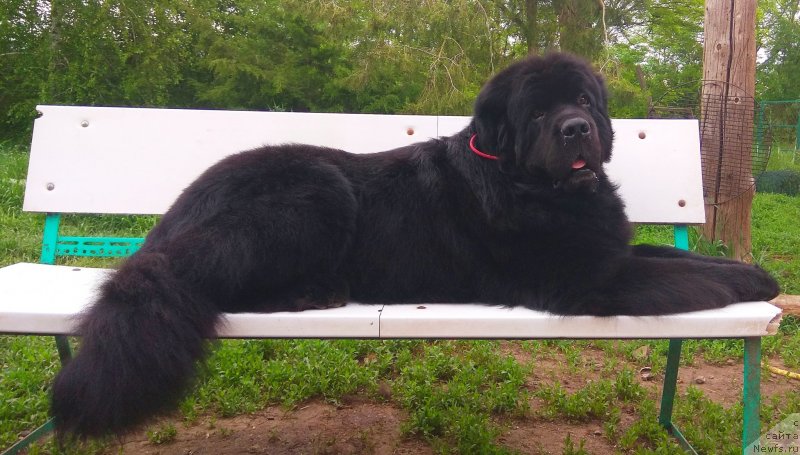 Фотография № 242938