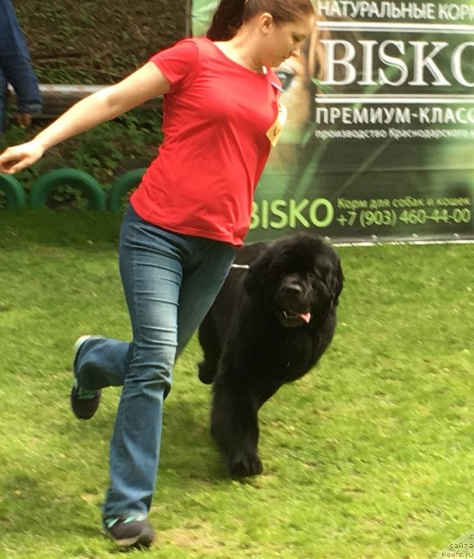 Фотография № 242939