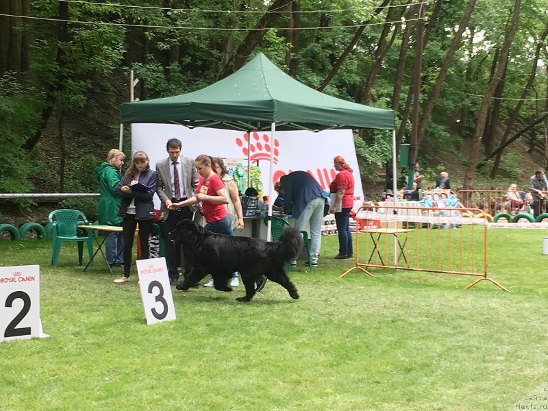 Фотография № 242940