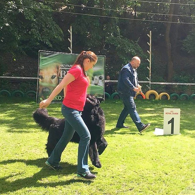 Фотография № 242941