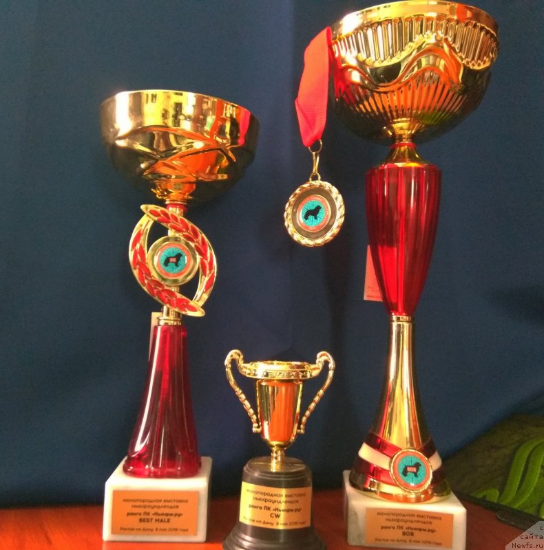 Фотография № 242944