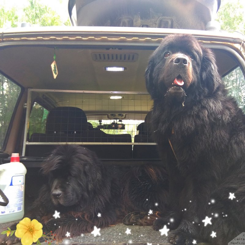 Фотография № 242945